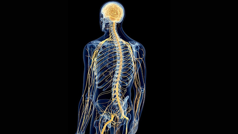 Sleep Center of the Southwest