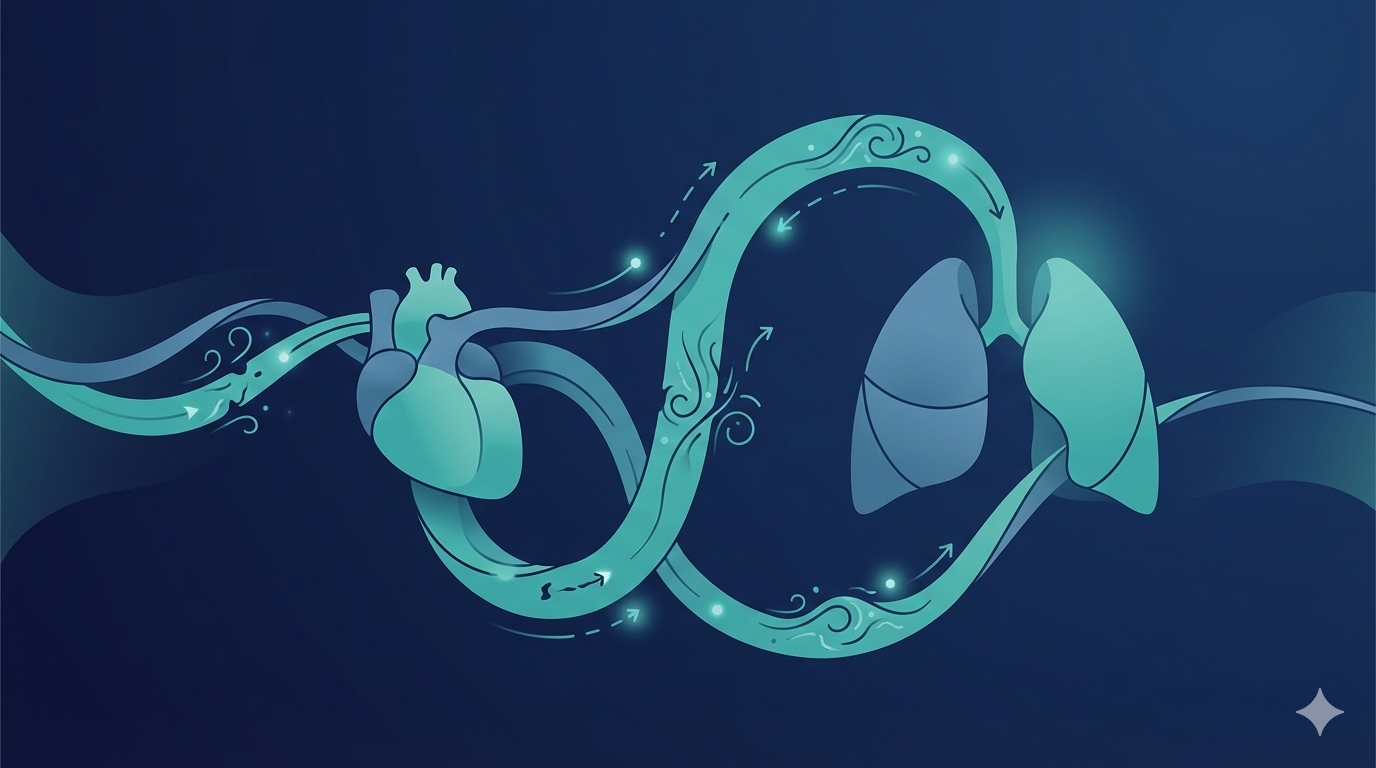 The Link Between Sleep Apnea and Heart Disease: What the Research Shows